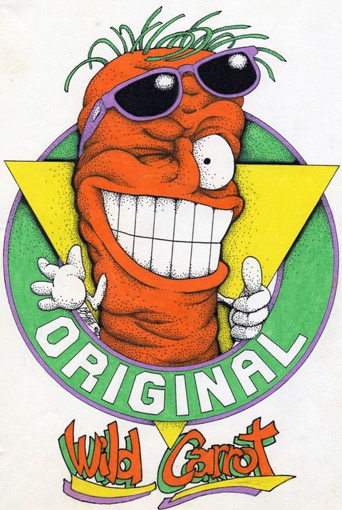 Wild Carrot Original